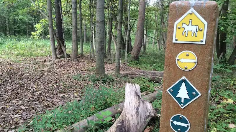 Bedford Reservation - Walton Hills, OH