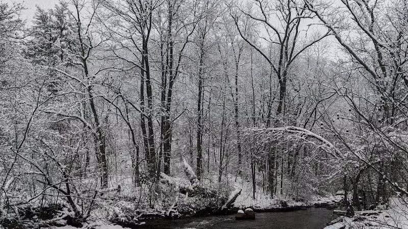 Bedford Reservation - Walton Hills, OH