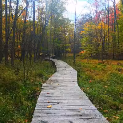 Bedford Reservation - Walton Hills, OH