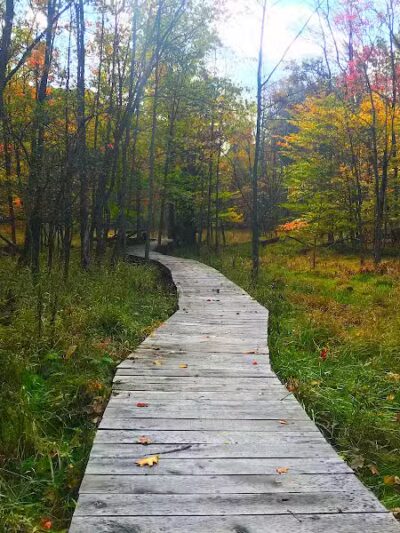 Bedford Reservation - Walton Hills, OH