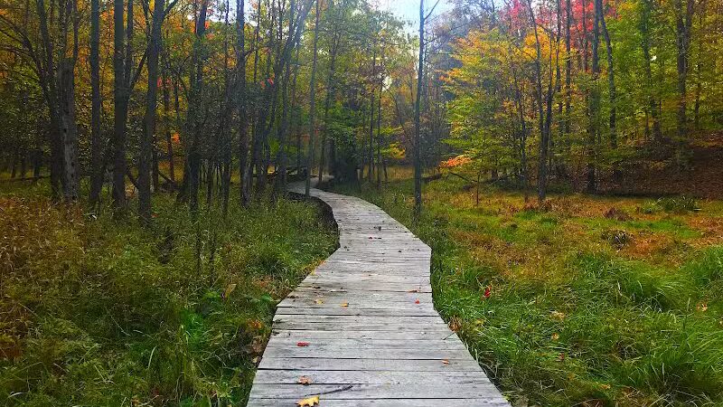 Bedford Reservation - Walton Hills, OH
