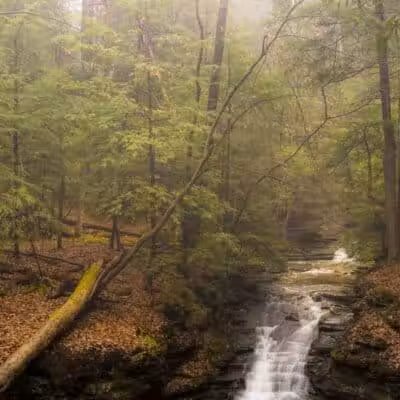 Bedford Reservation - Walton Hills, OH
