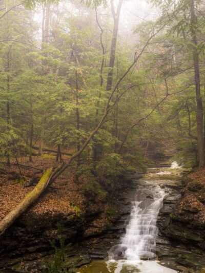 Bedford Reservation - Walton Hills, OH