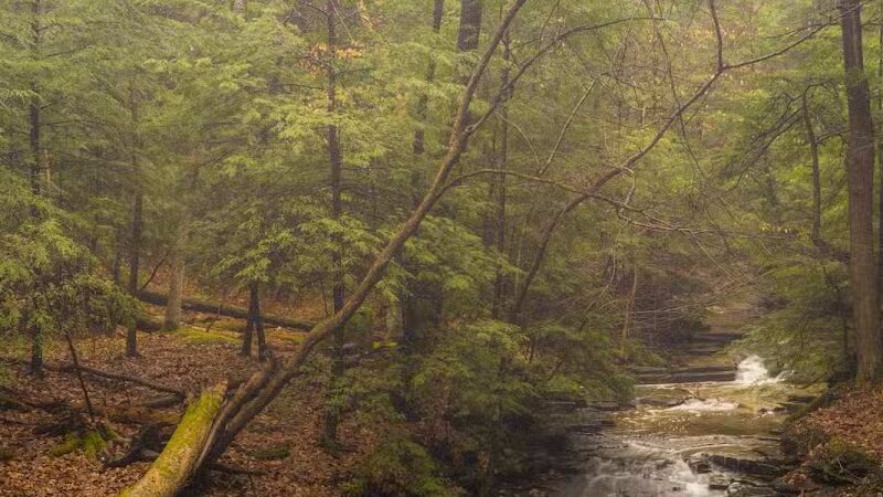 Bedford Reservation - Walton Hills, OH