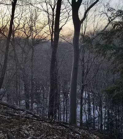 Bedford Reservation - Walton Hills, OH