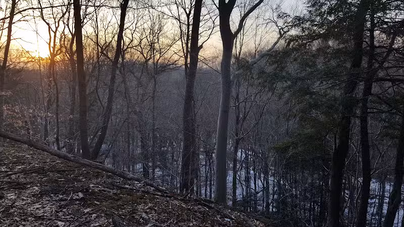 Bedford Reservation - Walton Hills, OH