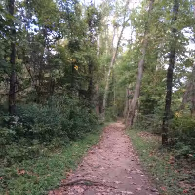 Bedford Reservation - Walton Hills, OH