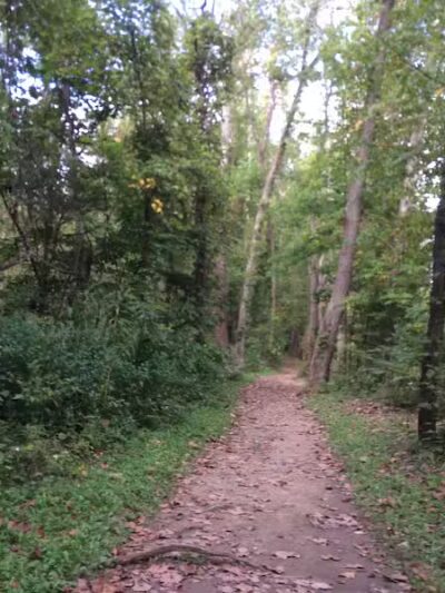 Bedford Reservation - Walton Hills, OH