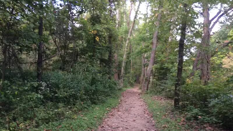 Bedford Reservation - Walton Hills, OH