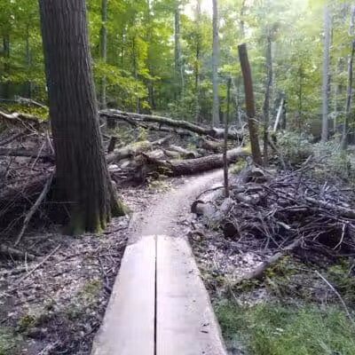 Bedford Reservation MTB Trails, Farley Lot - Walton Hills, OH