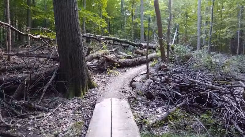 Bedford Reservation MTB Trails, Farley Lot - Walton Hills, OH