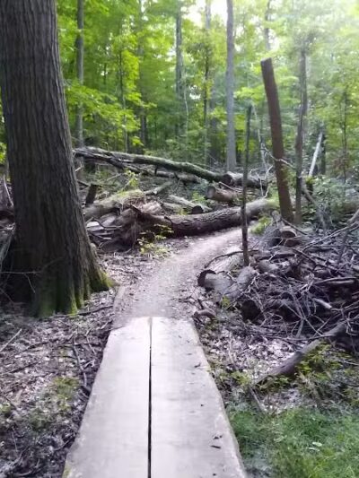 Bedford Reservation MTB Trails, Farley Lot - Walton Hills, OH
