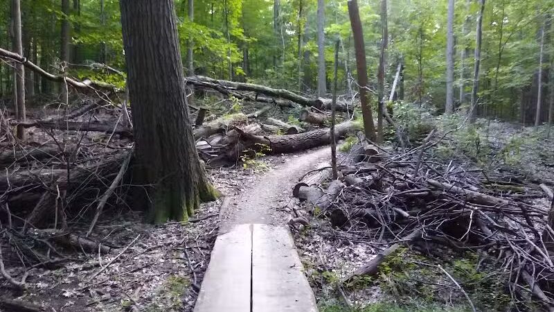 Bedford Reservation MTB Trails, Farley Lot - Walton Hills, OH