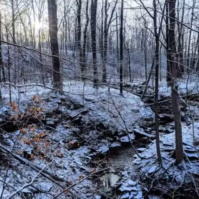 Bedford Reservation MTB Trails, Farley Lot - Walton Hills, OH