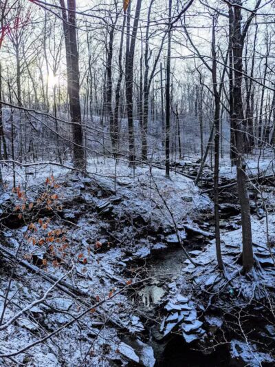 Bedford Reservation MTB Trails, Farley Lot - Walton Hills, OH