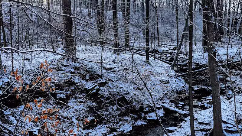 Bedford Reservation MTB Trails, Farley Lot - Walton Hills, OH
