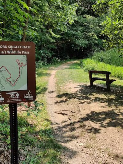 Bedford Reservation MTB Trails, Farley Lot - Walton Hills, OH