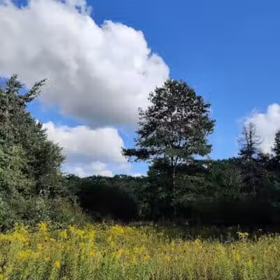 Bedford Reservation MTB Trails, Farley Lot - Walton Hills, OH