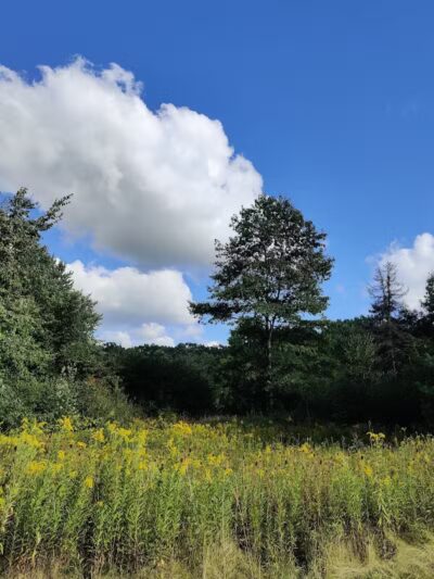 Bedford Reservation MTB Trails, Farley Lot - Walton Hills, OH
