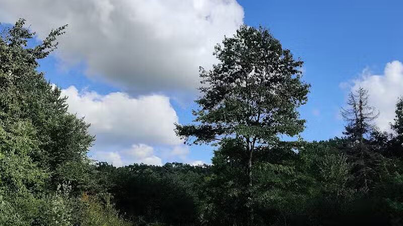 Bedford Reservation MTB Trails, Farley Lot - Walton Hills, OH