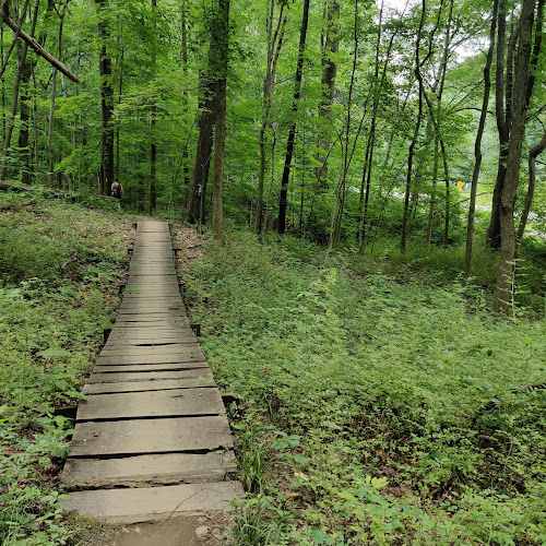 Bedford Reservation MTB Trails, Farley Lot - Walton Hills, OH