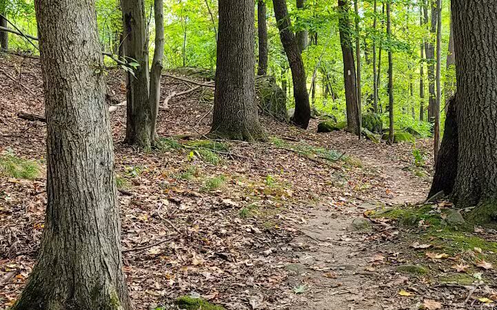 Bedford Reservation MTB trails, Olander Lot - Walton Hills, OH
