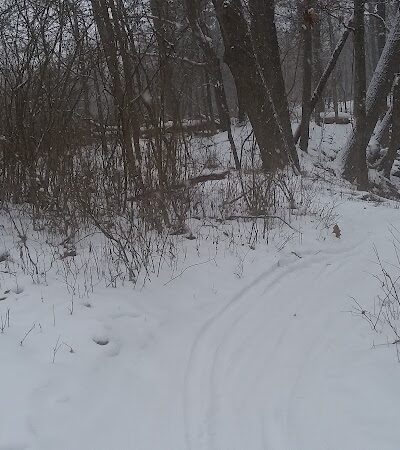 Bedford Reservation MTB trails, Olander Lot - Walton Hills, OH