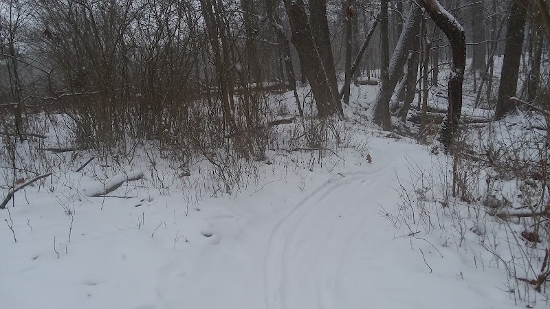 Bedford Reservation MTB trails, Olander Lot - Walton Hills, OH