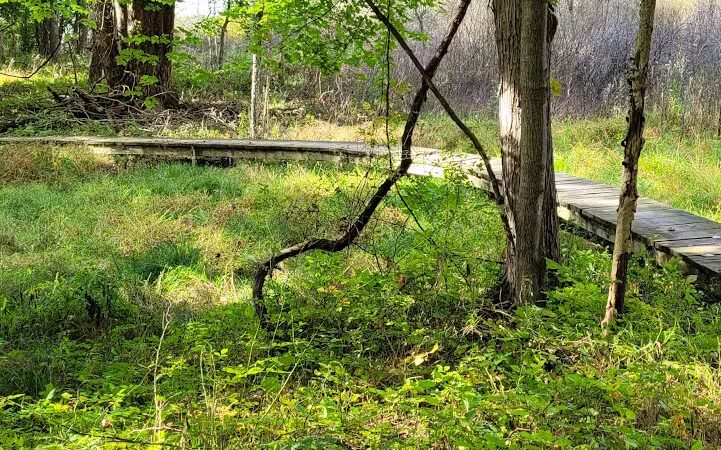 Bedford Reservation MTB trails, Olander Lot - Walton Hills, OH