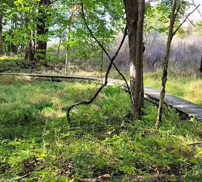 Bedford Reservation MTB trails, Olander Lot - Walton Hills, OH