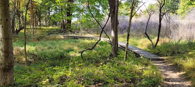 Bedford Reservation MTB trails, Olander Lot - Walton Hills, OH