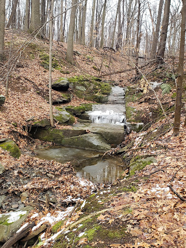 Bedford Reservation MTB trails, Olander Lot - Walton Hills, OH