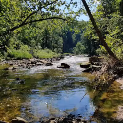 Egbert Picnic Area - Walton Hills, OH