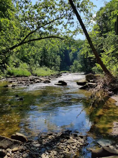 Egbert Picnic Area - Walton Hills, OH