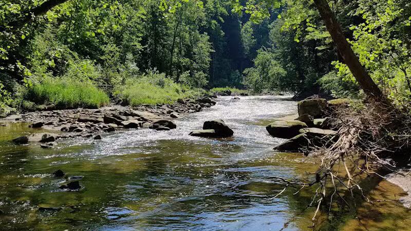 Egbert Picnic Area - Walton Hills, OH