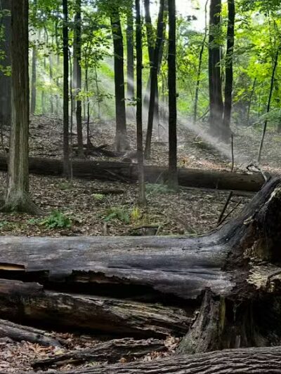Egbert Picnic Area - Walton Hills, OH