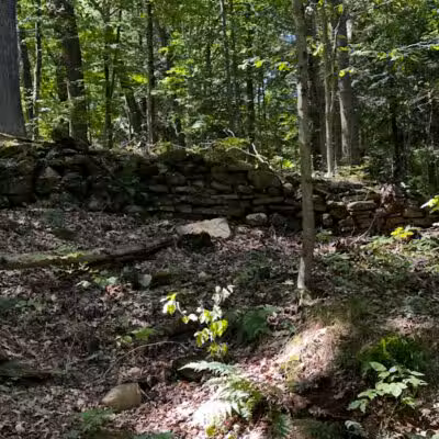 Egbert Picnic Area - Walton Hills, OH