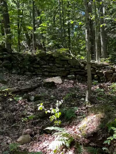 Egbert Picnic Area - Walton Hills, OH
