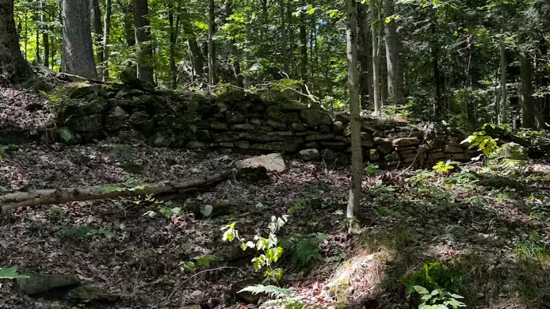 Egbert Picnic Area - Walton Hills, OH