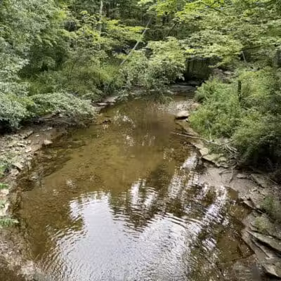Egbert Picnic Area - Walton Hills, OH
