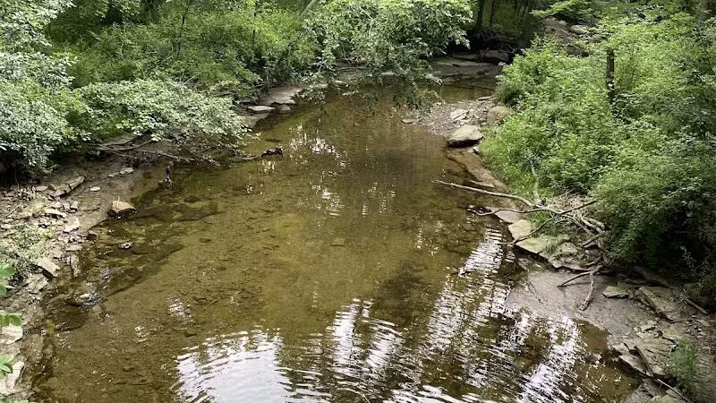 Egbert Picnic Area - Walton Hills, OH