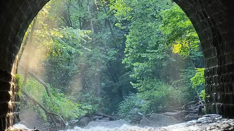 Egbert Picnic Area - Walton Hills, OH