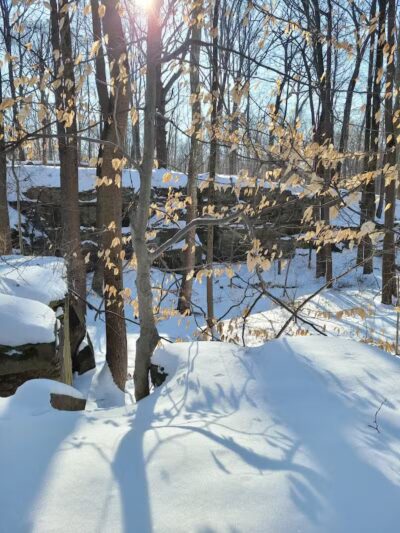 Egbert Picnic Area - Walton Hills, OH