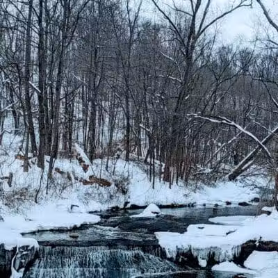 Hemlock Creek Picnic Area - Walton Hills, OH