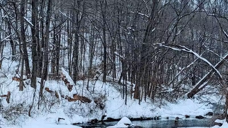 Hemlock Creek Picnic Area - Walton Hills, OH