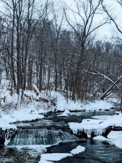 Hemlock Creek Picnic Area - Walton Hills, OH