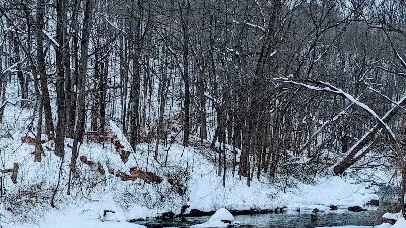 Hemlock Creek Picnic Area - Walton Hills, OH