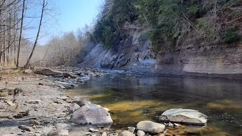 Hemlock Creek Picnic Area - Walton Hills, OH