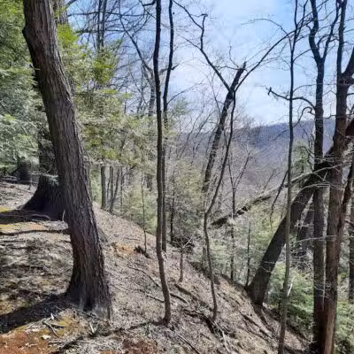 Hemlock Creek Picnic Area - Walton Hills, OH