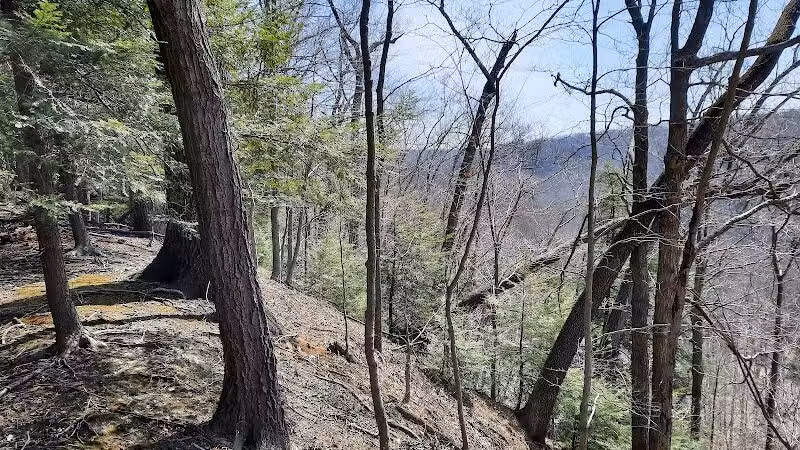 Hemlock Creek Picnic Area - Walton Hills, OH